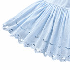 Sky Blue Embroidered Ruffle Dress