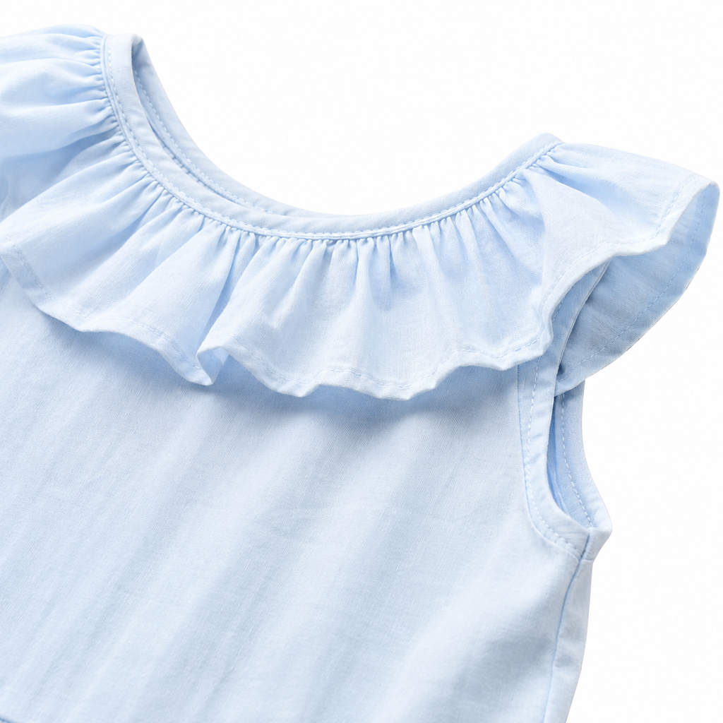 Sky Blue Embroidered Ruffle Dress