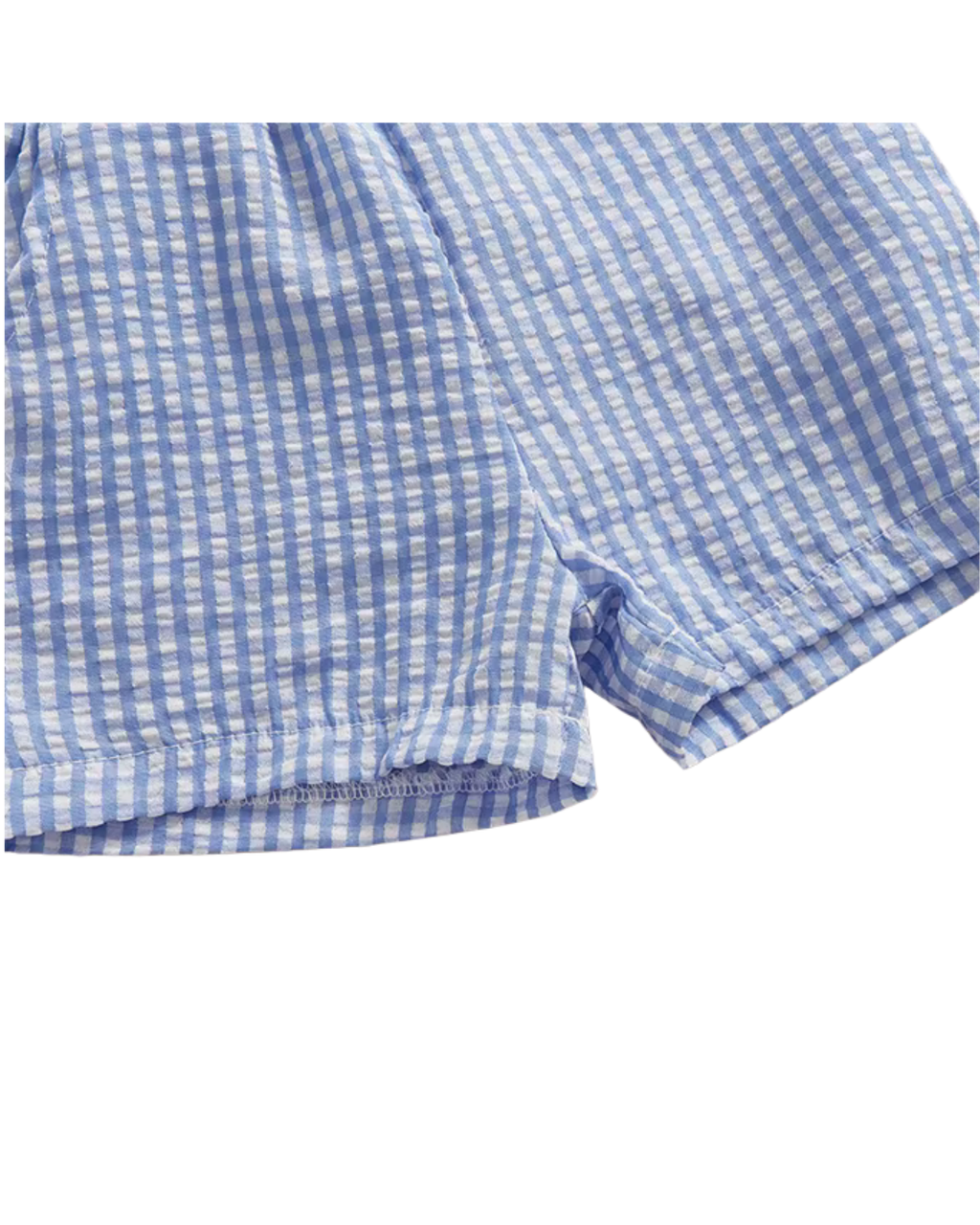 Letter Embroidery Tee & Gingham Shorts Boy's Set