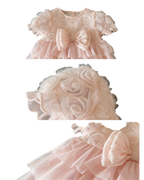 Enchanted Rose Layered Party Dress