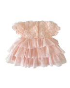 Enchanted Rose Layered Party Dress