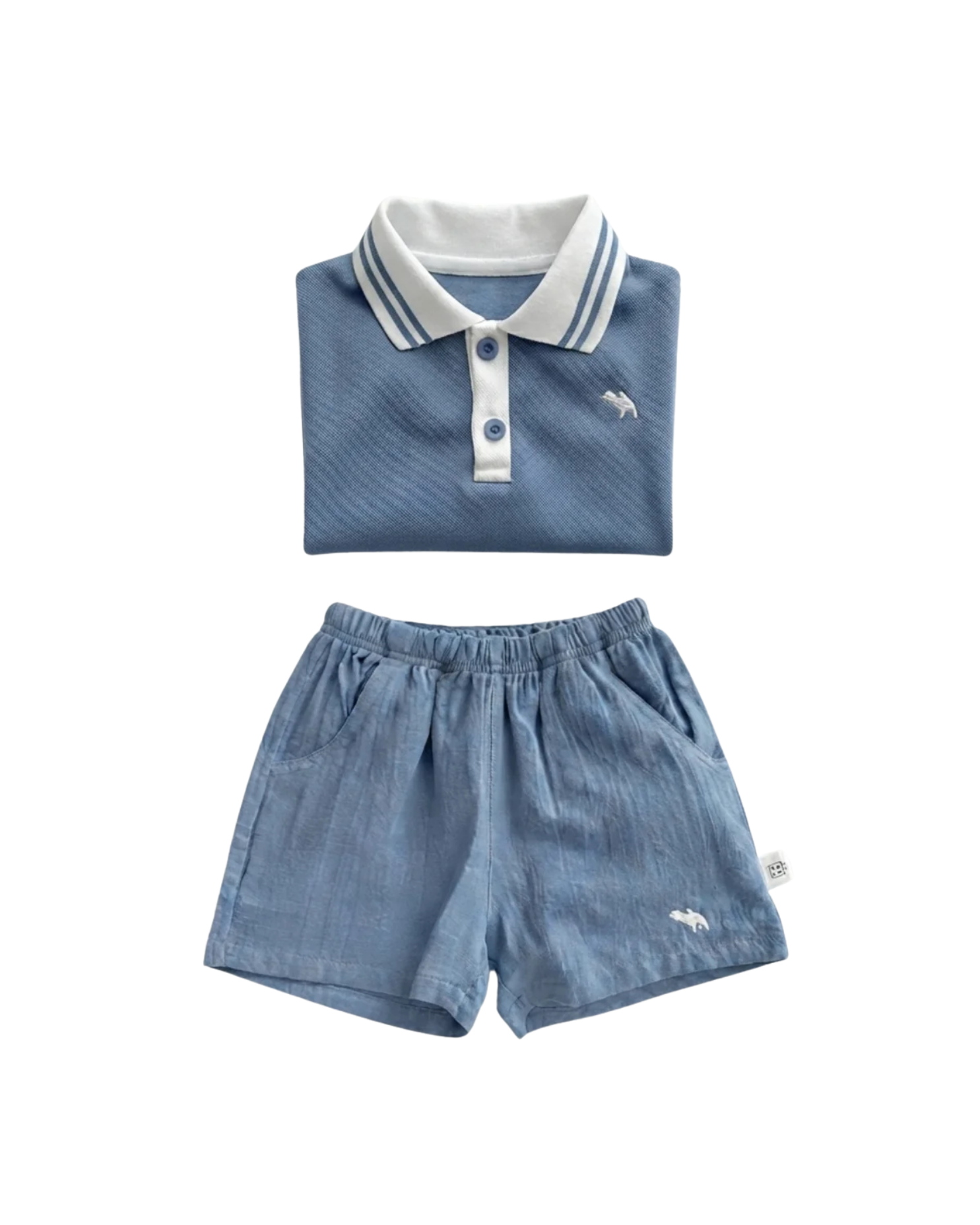 Premium Summer Polo & Shorts Boy's Set